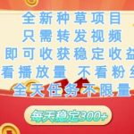 全新种草项目只需转发视频，即可收获稳定收益，不看播放量不看粉丝量，全天任务不限量，每天稳定3张【揭秘】