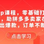 拼多多vip课程，零基础打造店铺的核心秘诀，助拼多多卖家在2025卖出爆款，订单不断