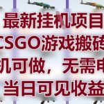 最新挂G项目，CSGO游戏搬砖，手机可做，无需电脑，当日见收益【揭秘】