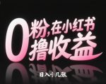 0粉在小红书撸收益，日入几张