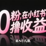 0粉在小红书撸收益，日入几张