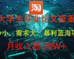大学生毕业论文查重，暴利蓝海项目，月收入过1W+