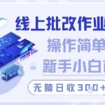 线上批改作业，操作简单新手小白首选，无脑日收300+【揭秘】