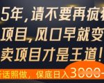 什么？25年你还在疯狂找项目做，醒醒吧，看完这些你全都懂了【揭秘】