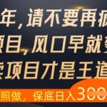 什么？25年你还在疯狂找项目做，醒醒吧，看完这些你全都懂了【揭秘】