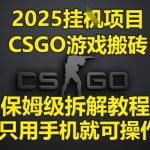 2025挂G项目，CSGO游戏搬砖，保姆级拆解教程，只用手机就可操作【揭秘】