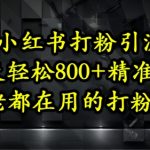 小红书打粉引流，一天轻松500+精准流量，大佬都在用的打粉教程