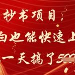 公众号抄书项目，简单粗暴，小白也能快速上手，有人一天搞了1k+