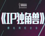 IP独角兽，孵化网红企业，ip教程