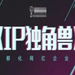 IP独角兽，孵化网红企业，ip教程