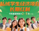 私域学生经济项目，长期红利，可批量复制放大，日收益2-5张
