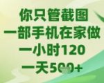 你只管截图，一部手机在家做，苹果安卓都可以，一天5张+【揭秘】