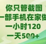 你只管截图，一部手机在家做，苹果安卓都可以，一天5张+【揭秘】