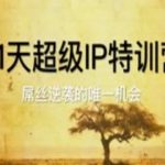 21天超级IP特训营，屌丝逆袭的唯一机会
