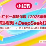 小红书一年陪伴课【2025年新课】，用短视频+deepSeek打爆款，史上最干货的小红书店铺爆款课程