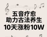 古法五音养生教程，五音疗愈的视频的制作方法，2-4小时就能学会，作者10天涨粉10W