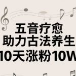 古法五音养生教程，五音疗愈的视频的制作方法，2-4小时就能学会，作者10天涨粉10W