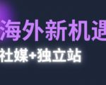 2025出海新机遇(社媒+独立站)，海外新机遇，实现独立站的高效运营与出海