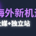 2025出海新机遇(社媒+独立站)，海外新机遇，实现独立站的高效运营与出海