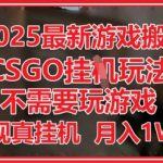 2025最新游戏搬砖，CSGO挂G，不需要玩游戏，实现真挂G，月入1W+【揭秘】