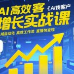 AI高效获客增长实战课，​AI找客户 私域自动化 高效工作流 直播快变现