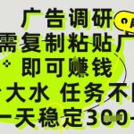 广告调研项目，只需复制粘贴广告即可挣钱，平台大水，任务不限量，一天3张【揭秘】