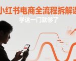 小红书电商全流程拆解课，学这一门就够了