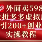 外面卖5980开设拼多多虚拟店铺：单日引流200+创业付费粉实战教程
