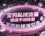 宝妈私域流量操盘手训练营，宝妈粉精准引流