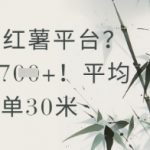 抄书在小红薯平台？平均一单30米，一天收益几张！