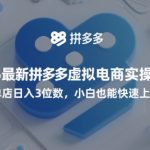 2025最新拼多多虚拟电商实操手册，单店日入3位数，小白也能快速上手【附赠选品工具】