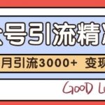 公众号精准粉引流玩法，2个月3000+精准粉，变现30个W【揭秘】