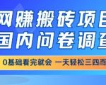 网创搬砖项目，国内问卷调查，小白轻松上手，一天三四张的也不难，干就完了【揭秘】
