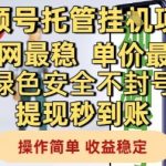 视频号托管挂G项目全网最稳，单价最高，绿色安全不封号提现秒到账，操作简单，收益稳定【揭秘】