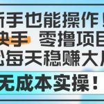 新手也能操作，快手零撸挣米，轻松每天挣2-5张，完全无成本