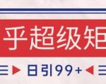 知乎超级矩阵玩法引流高质量精准粉SEO覆盖，日变现1k+【揭秘】