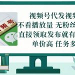 视频号代发视频，无需做视频，无需写文案，不看播放量，无粉丝要求，直接领取发布就有收益【揭秘】