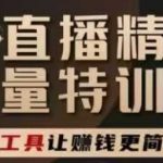 AI直播精英官方特训营，直播底层逻辑和ai实操技巧，用好工具让挣米更简单
