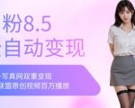 全网独家男粉8.5运营课程，进群+写真+网盘，稳定日入 5张