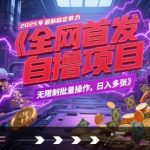 全网首发，2025年最新稳定暴力全自动自撸项目，无限制批量操作，日入多张【揭秘】