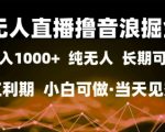 无人直播撸音浪掘金，日入1k+，纯无人红利期，小白可做，当天见效【揭秘】