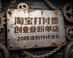 淘宝打付费创业粉单店每天稳定10-20精准粉持续增长【揭秘】