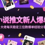 小说推文新人爆单大佬每天稳定三位数爆单经验分享