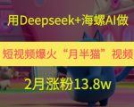 用Deepseek+海螺AI做短视频爆火“月半猫”视频，2月涨粉13.8w