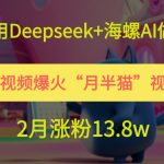 用Deepseek+海螺AI做短视频爆火“月半猫”视频，2月涨粉13.8w