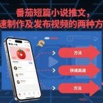 番茄短篇小说推文，快速制作及发布视频的两种方法
