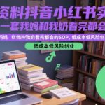 教辅资料抖音小红书实战营，这是一套我妈和我奶看完都会的SOP，低成本低风险创业
