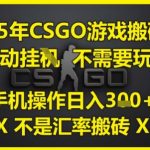 25年CSGO游戏搬砖，全自动运行，不需要玩游戏，手机操作日入3张(不是汇率搬砖)【揭秘】