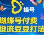 2025蝴蝶号付费投流豆豆打法，助新手快速掌握付费流量撬动自然流的核心玩法
