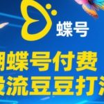 2025蝴蝶号付费投流豆豆打法，助新手快速掌握付费流量撬动自然流的核心玩法